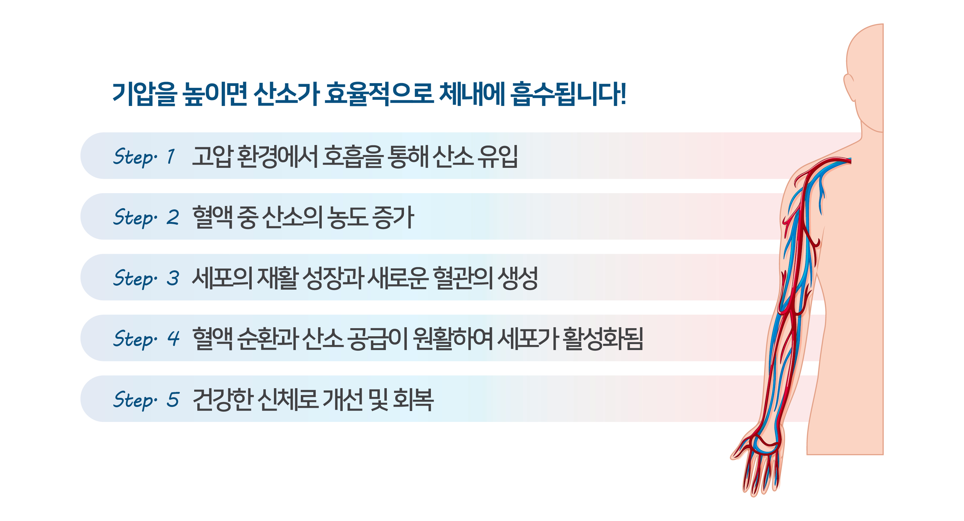 고압 환경 호흡부터 신체 회복까지의 5단계 과정